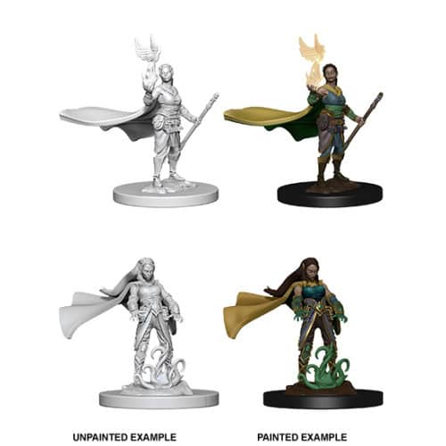 Nolzur's Marvelous Miniatures: Elf Druid (female)