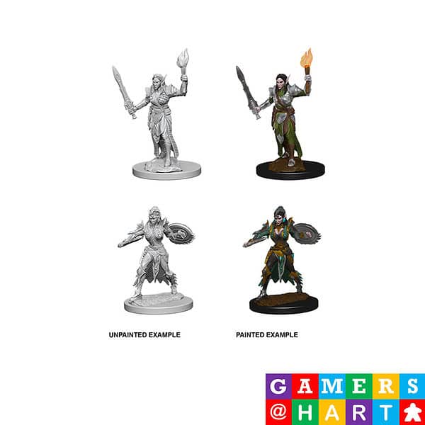 Nolzur's' Marvelous Miniatures: Elf Female Fighter