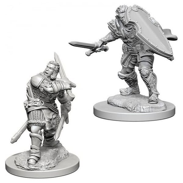 Nolzur's Marvelous Miniatures: Human Paladin (male)