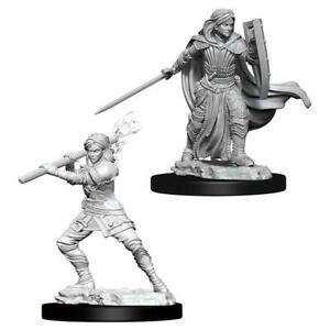 Nolzur's Marvelous Miniatures: Human Paladin (female)