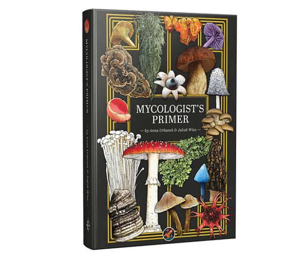 Mycologist's Primer