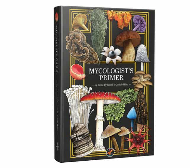 Mycologist's Primer