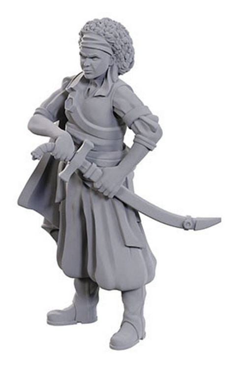 Nolzur's Marvelous Miniatures: Ansalon Human Rogue