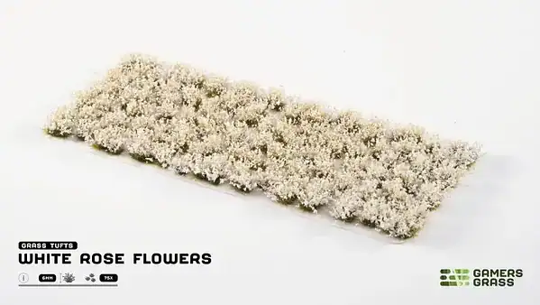 White Rose Flowers